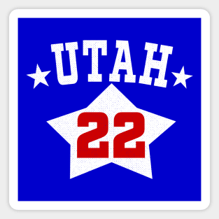 Defunct Utah Stars 1970 Jersey ABA Magnet